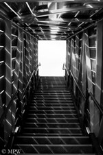 Viaduct Events Centre Auckland City black and white